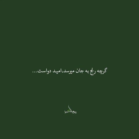 عکس امید به زندگی بدون متن