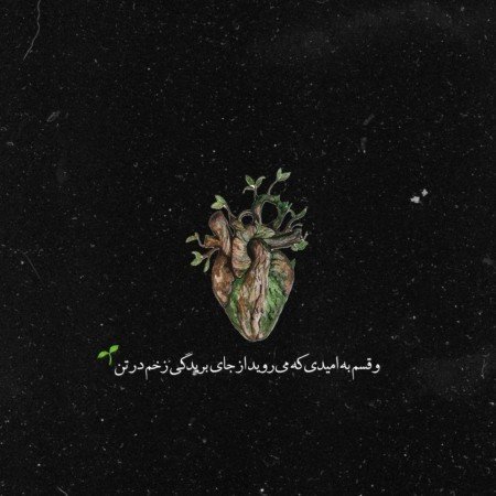 عکس امید به زندگی بدون متن