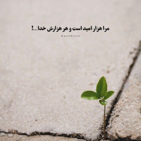 عکس امید به زندگی بدون متن