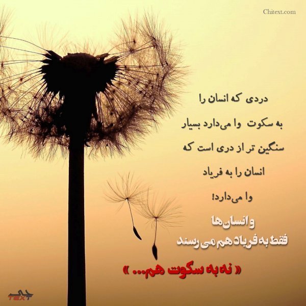 عکس نوشته یک روز من سکوت خواهم کرد