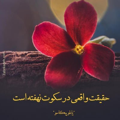 عکس نوشته سکوت بهترین جواب است