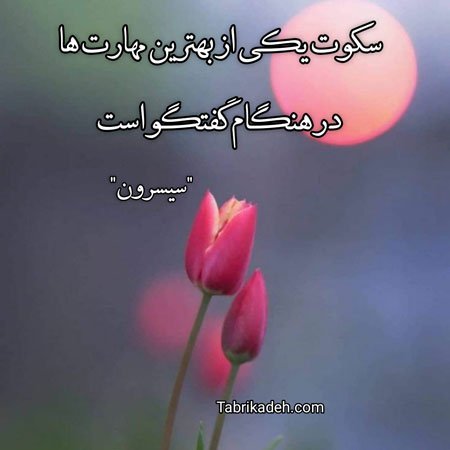 عکس نوشته سکوت بهترین جواب است