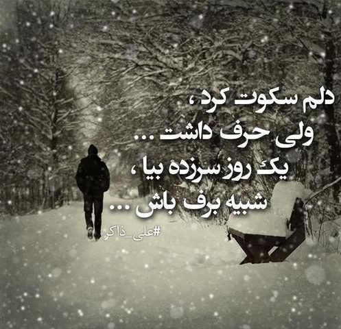  عکس نوشته در مورد سکوت