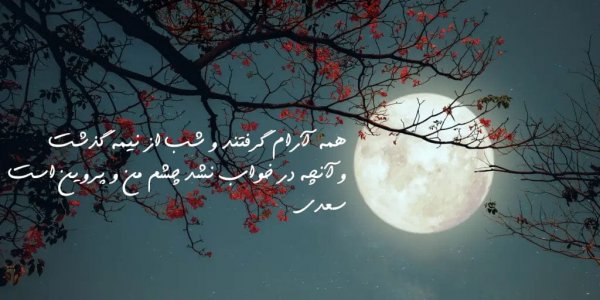 عکس سکوت برای پروفایل