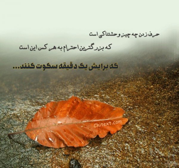 پروفایل سکوت یک زن