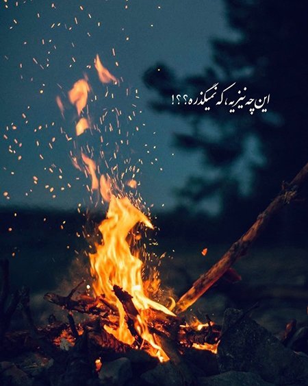  پروفایل سکوت تلخ