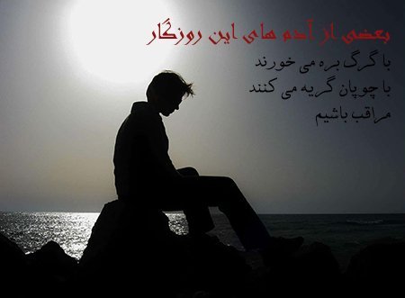  پروفایل سکوت تلخ