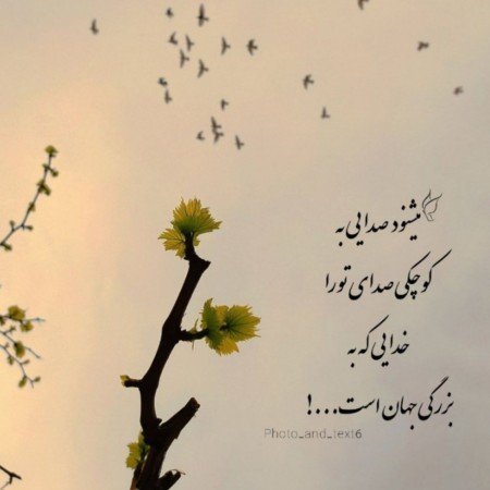  پروفایل سکوت خدا