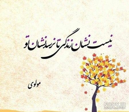  شعر درباره سکوت از مولانا + عکس