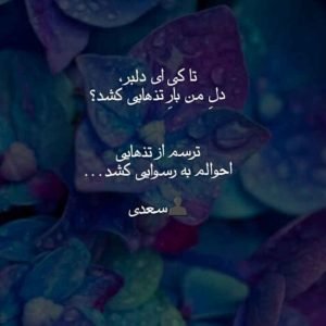  شعر درباره سکوت از سعدی + عکس