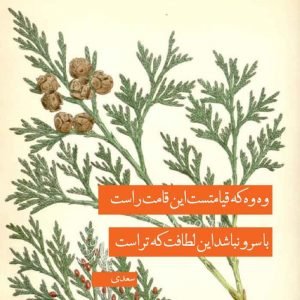  شعر درباره سکوت از سعدی + عکس