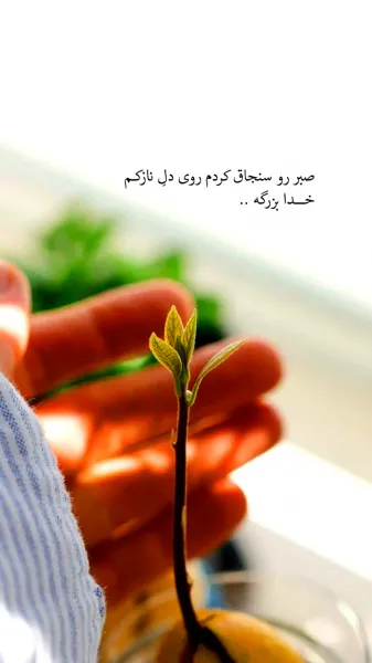  عکس حس خوب زندگی