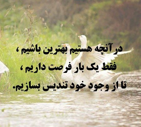 عکس پروفایل شاد خفن
