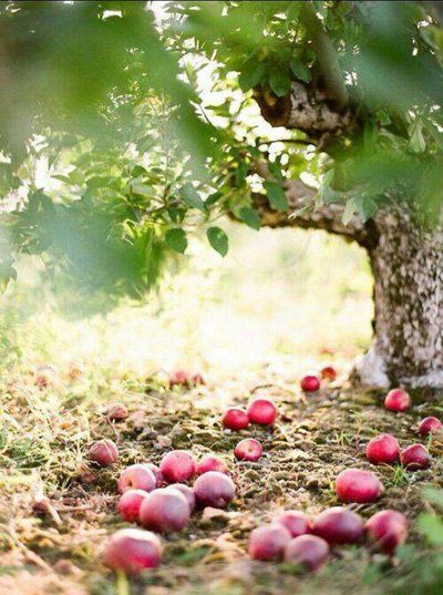 عکس نوشته های زیبا و مفهومی