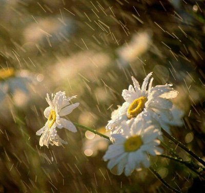 عکس نوشته های زیبا و مفهومی