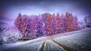 دانلود عکس طبیعت با کیفیت 4k برای کامپیوتر