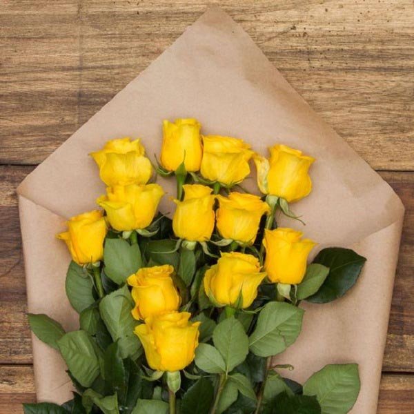  عکس گل رز زرد
