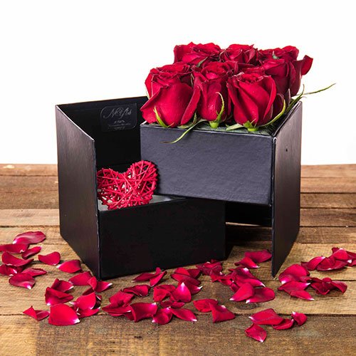  عکس گل رز هلندی قرمز
