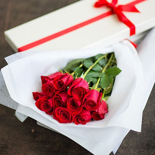  عکس گل رز هلندی قرمز