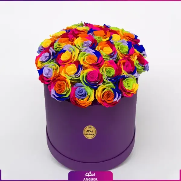  عکس گل هفت رنگ واقعی