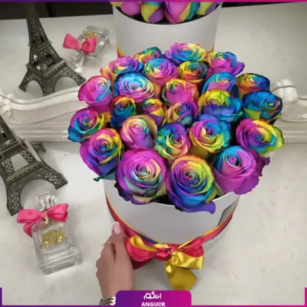  عکس گل هفت رنگ واقعی