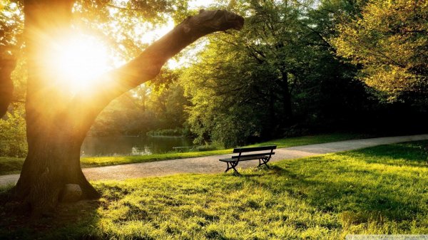  عکس پس زمینه طبیعت آرامش بخش