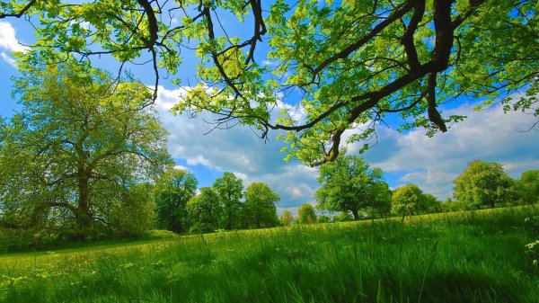  عکس پس زمینه طبیعت آرامش بخش