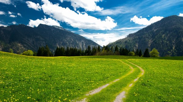  عکس پس زمینه طبیعت آرامش بخش