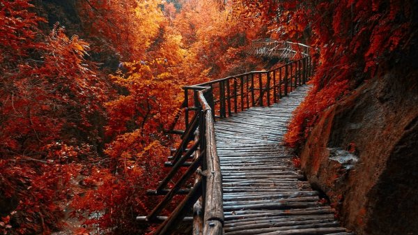  عکس پس زمینه طبیعت آرامش بخش