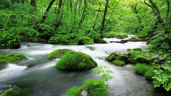  عکس پس زمینه طبیعت آرامش بخش