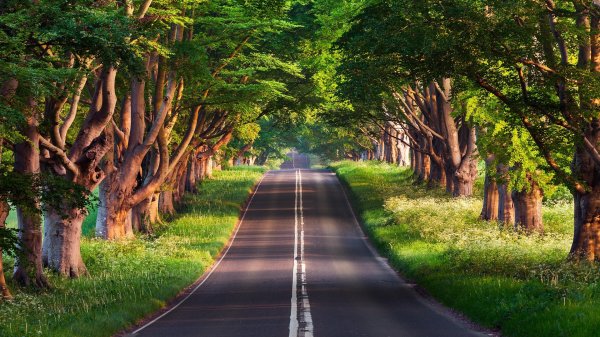  عکس پس زمینه طبیعت آرامش بخش