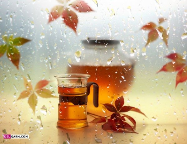 عکس باران روی شیشه ماشین در شب