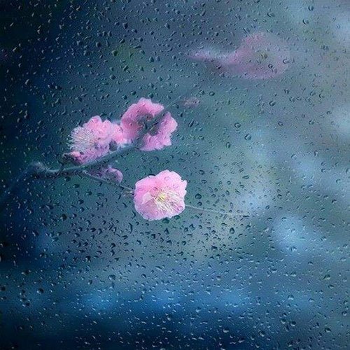 عکس باران روی شیشه ماشین در شب
