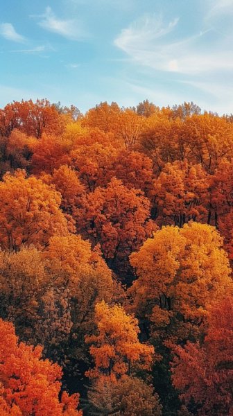 عکس زیباترین تصاویر پاییزی ایران