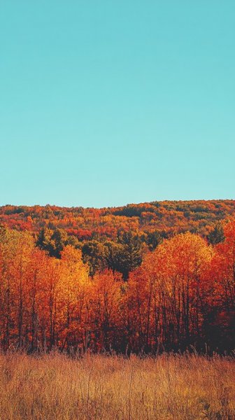 عکس زیباترین تصاویر پاییزی ایران
