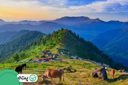  عکس جنگل شمال