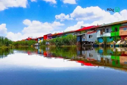  عکس جنگل شمال