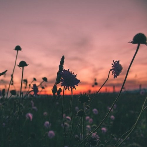  عکس دریا در غروب