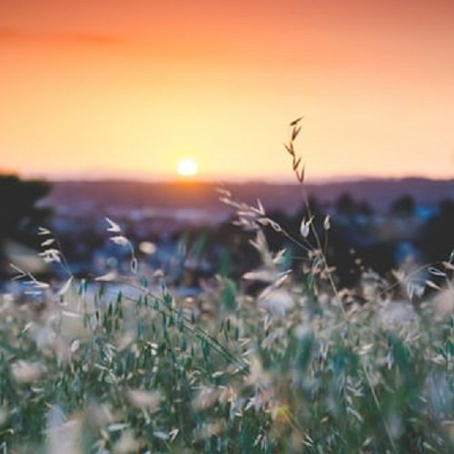  عکس دریا در غروب