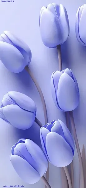  عکس گل بنفش