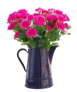  عکس گلهای بهاری در گلدان