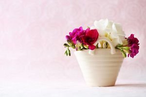  عکس گلهای بهاری در گلدان