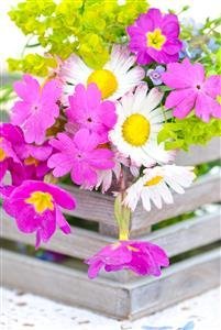  عکس گلهای بهاری در گلدان