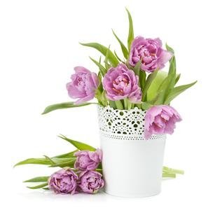  عکس گلهای بهاری در گلدان