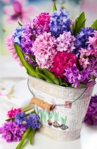  عکس گلهای بهاری در گلدان