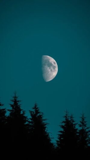  عکس پس‌زمینه