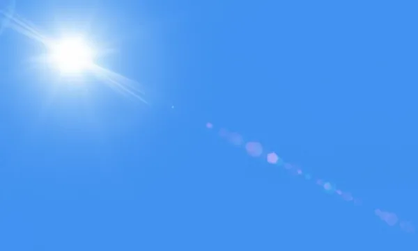  عکس روز