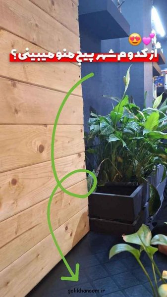  عکس روزمرگی برای پروفایل