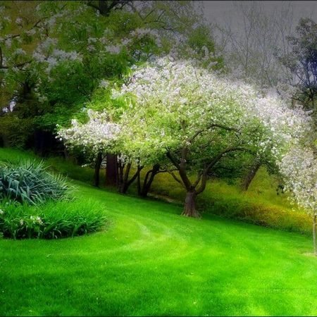  دانلود عکس‌های جدید با کیفیت HD