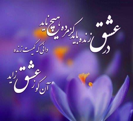  دانلود عکس‌های جدید با کیفیت HD